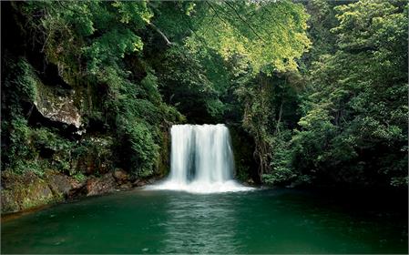 Teknoloji, eşitliği sağlar