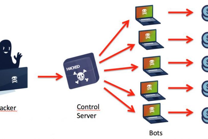 Çok fonksiyonlu bot’lar giderek daha da yaygınlaşıyor